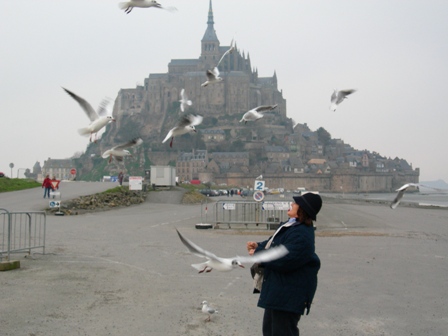 Baby feeding Mont St.Michel's seagulls